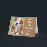 SHAR PEI IS A COMEDIAN FOR YOUR BIRTHDAY KAART<br><div class="desc">HE IS SO CUTE AND HE LOOKS VERY UPSET BUT HE REALLY ISN'T!!!  THANKS FOR STOPPING BY ONE OF MY EIGHT STORES!!!!</div>