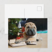 Shar Pei Kerstmis Feestdagenkaart (Voorkant / Achterkant)