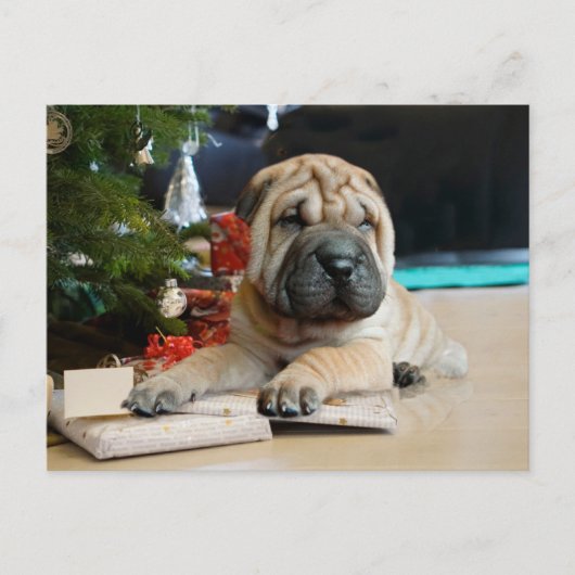 Shar Pei Kerstmis Feestdagenkaart (Voorkant)