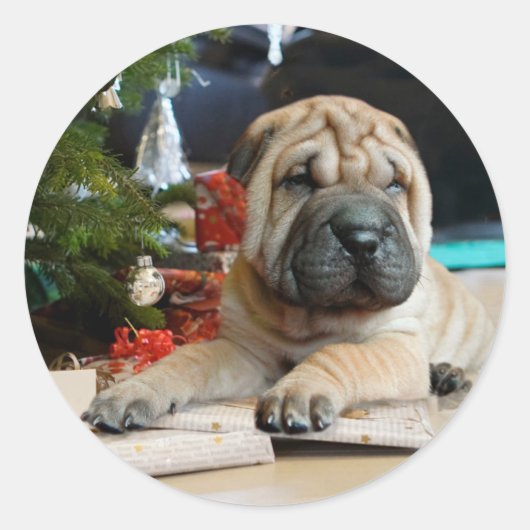 Shar Pei Kerstmis Ronde Sticker (Voorkant)