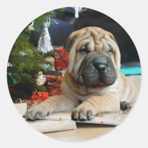 Shar Pei Kerstmis Ronde Sticker