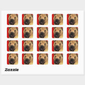 Shar-Pei-kleurenblok Vierkante Sticker (Vel)