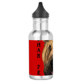 Shar-Pei-kleurenblok Waterfles (Links)