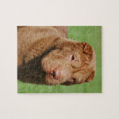 Shar Pei Legpuzzel (Horizontaal)