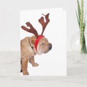 SHAR PEI MET ANTLERS CHRISTMAS CARD BEDANKKAART (Voorkant)