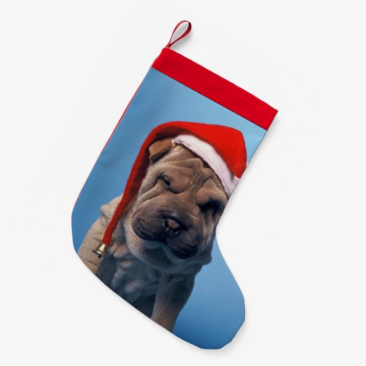 Shar pei met x-mas pet kleine kerstsok (Voorkant (Hangend))