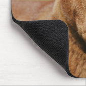 Shar Pei Muismat (Hoek)