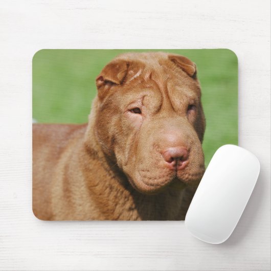 Shar Pei Muismat (Met muis)