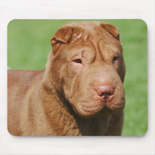 Shar Pei Muismat (Voorkant)