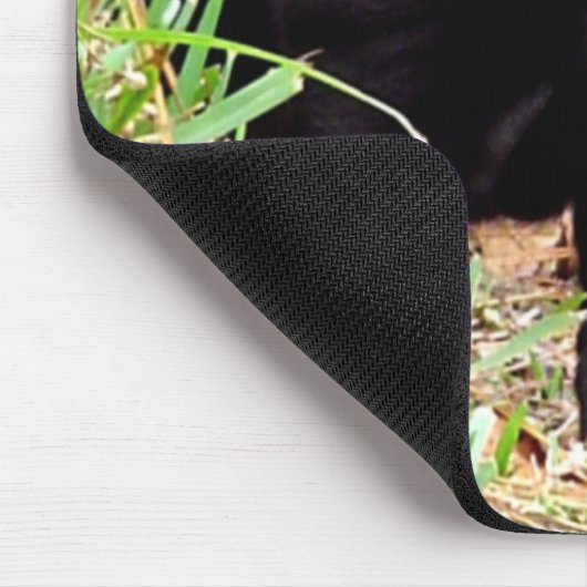 Shar-pei-Muismat Muismat (Hoek)