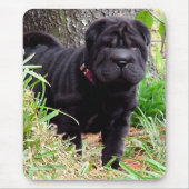 Shar-pei-Muismat Muismat (Voorkant)