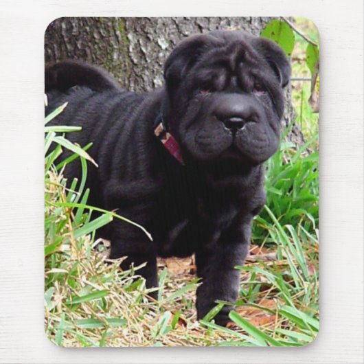 Shar-pei-Muismat Muismat (Voorkant)