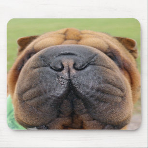 Shar-pei-Muismat Muismat
