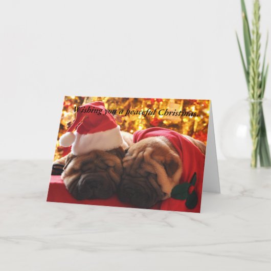 Shar Pei Peaceful Christmas Feestdagen Kaart (Voorkant)