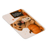 Shar Pei Pumpkin Spice Magneet (Rechterzijde)