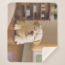 Shar Pei Pup - Zachte Sereniteit door WangWang