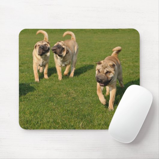 Shar Pei-Puppies afspelen Muismat (Met muis)