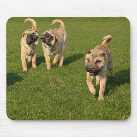 Shar Pei-Puppies afspelen Muismat (Voorkant)