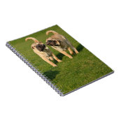 Shar Pei-Puppies afspelen Notitieboek (Rechterzijde)