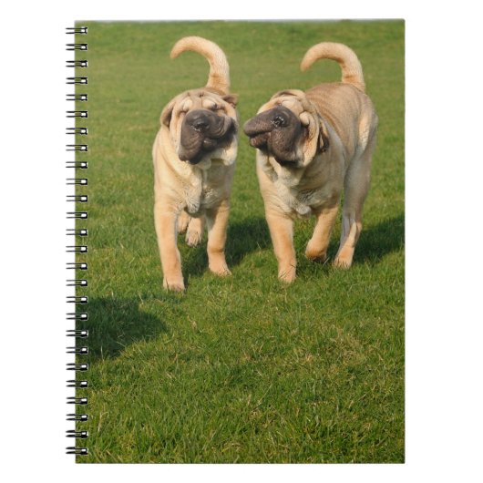 Shar Pei-Puppies afspelen Notitieboek (Voorkant)
