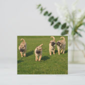Shar Pei-Puppies Briefkaart (Staand voorkant)