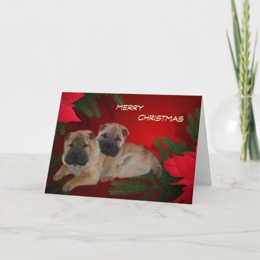 Shar Pei Puppies Poinsettia-kaart Feestdagen Kaart (Voorkant)
