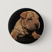 Shar Pei puppy Ronde Button 5,7 Cm (Voorkant)