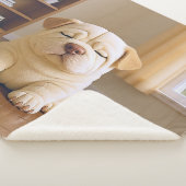 Shar Pei Puppy - Soft Serenity by WangWang Sherpa Deken (3/4)