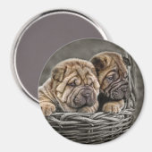 Shar-Pei pups in mandmagneet Magneet (Voorkant / Achterkant)