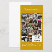 Shar Pei Rescue Xmas Kaart (Voorkant / Achterkant)