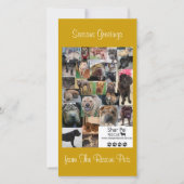 Shar Pei Rescue Xmas Kaart (Voorkant)