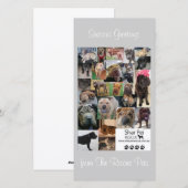 Shar Pei Rescue Xmas Kaart (Voorkant / Achterkant)