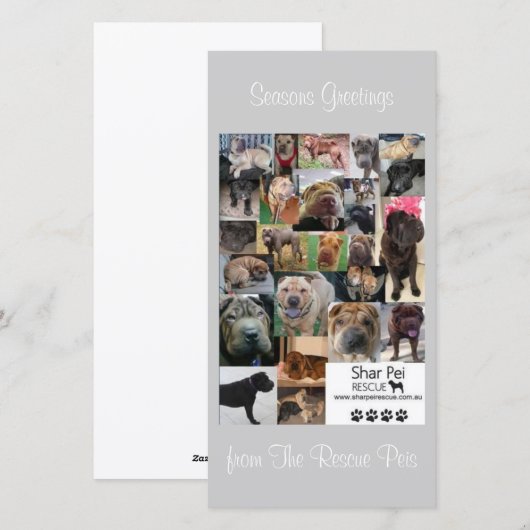 Shar Pei Rescue Xmas Kaart (Voorkant / Achterkant)