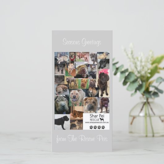Shar Pei Rescue Xmas Kaart (Staand voorkant)