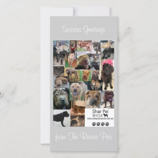 Shar Pei Rescue Xmas Kaart