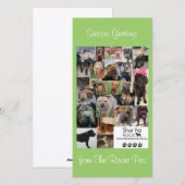 Shar Pei Rescue Xmas Kaart (Voorkant / Achterkant)