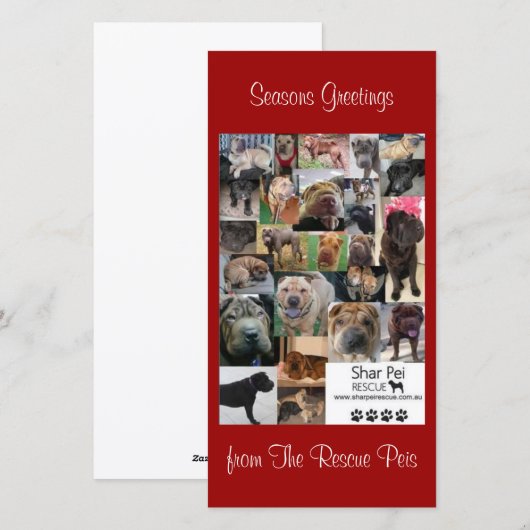 Shar Pei Rescue Xmas Kaart (Voorkant / Achterkant)
