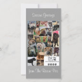 Shar Pei Rescue Xmas Kaart (Voorkant)