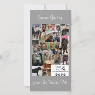 Shar Pei Rescue Xmas Kaart