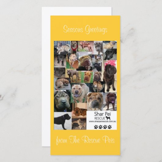 Shar Pei Rescue Xmas Kaart (Voorkant / Achterkant)