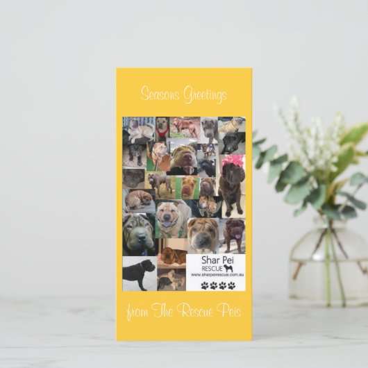 Shar Pei Rescue Xmas Kaart (Staand voorkant)