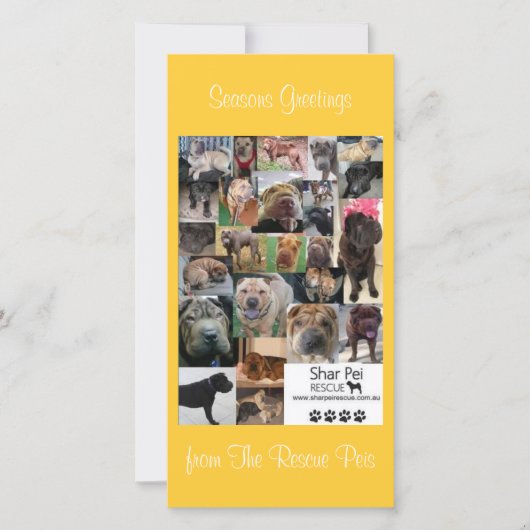 Shar Pei Rescue Xmas Kaart (Voorkant)