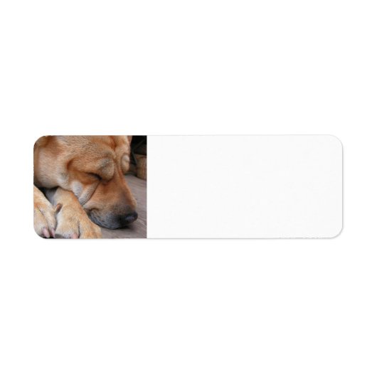 shar pei slapen.png etiket (Voorkant)