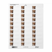 shar pei slapen.png etiket (Full Sheet)