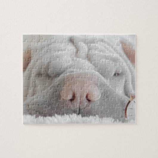 SHAR PEI SLEEPY DOG CLOSEUP PUZZLE LEGPUZZEL (Horizontaal)
