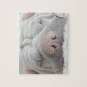SHAR PEI SLEEPY DOG CLOSEUP PUZZLE LEGPUZZEL (Verticaal)