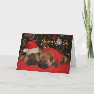 Shar Pei Sleepy Kerstkaart Feestdagen Kaart