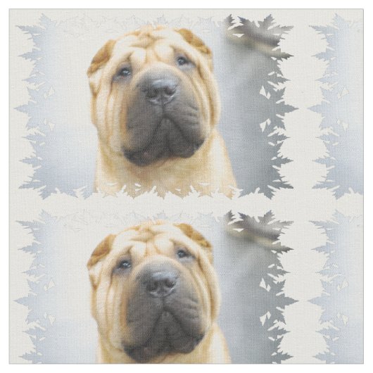 Shar Pei Stof (Close Up)