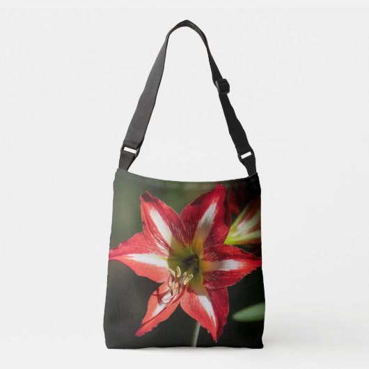 Shards of Red: Hibiscus at the Summit of Phongsaly Crossbody Tas (Voorkant)