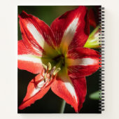 Shards of Red: Hibiscus at the Summit of Phongsaly Notitieboek (Achterkant)